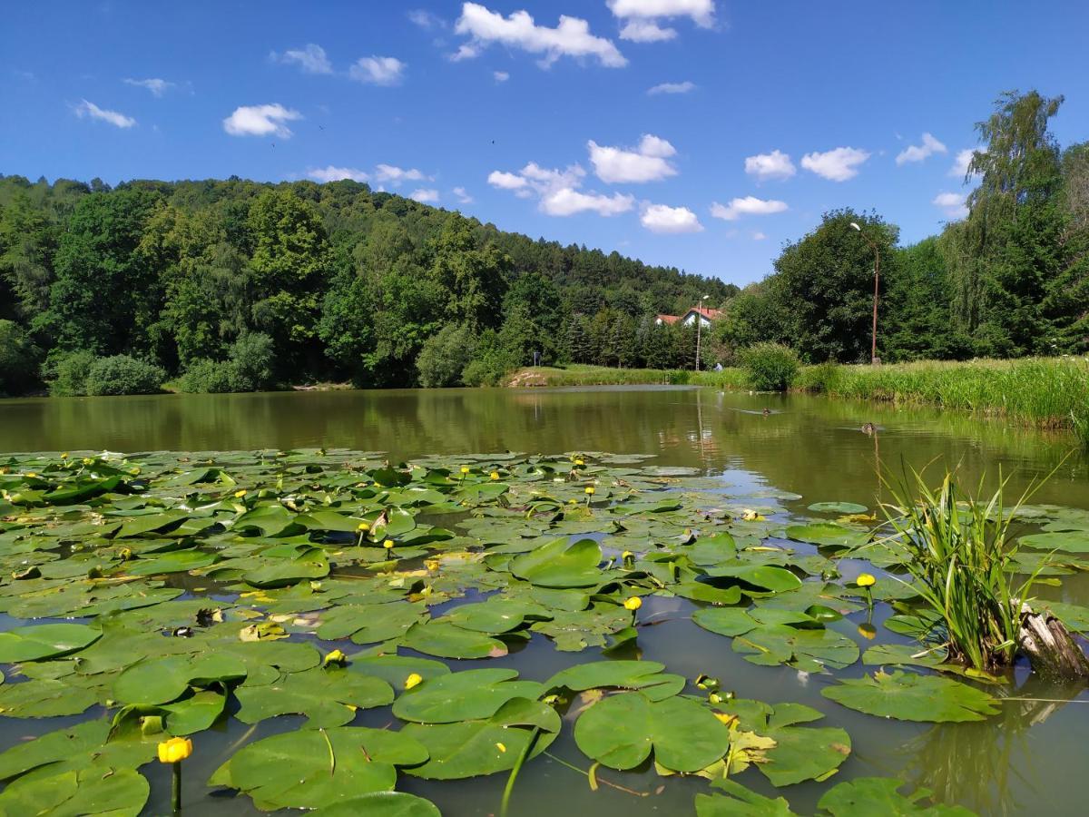 Sudety Canna House Bielawa  Zewnętrze zdjęcie